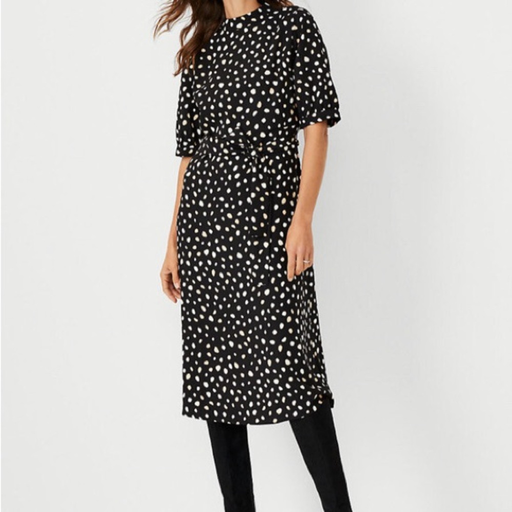 Ann Taylor Black and Cream Polka Dot Midi Dress